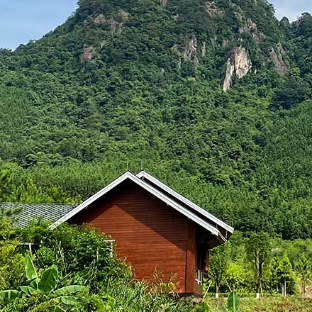 上海VI設(shè)計(jì)公司作品案例展示