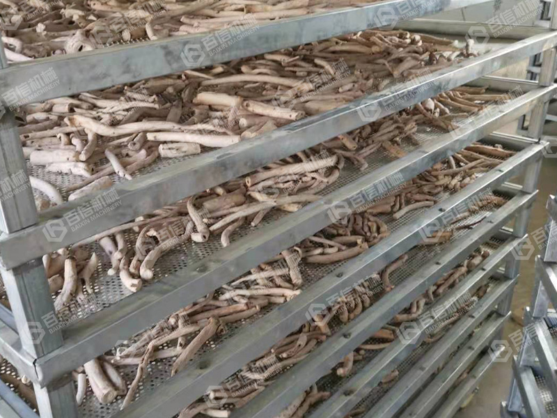 白術(shù)烘干機(jī)